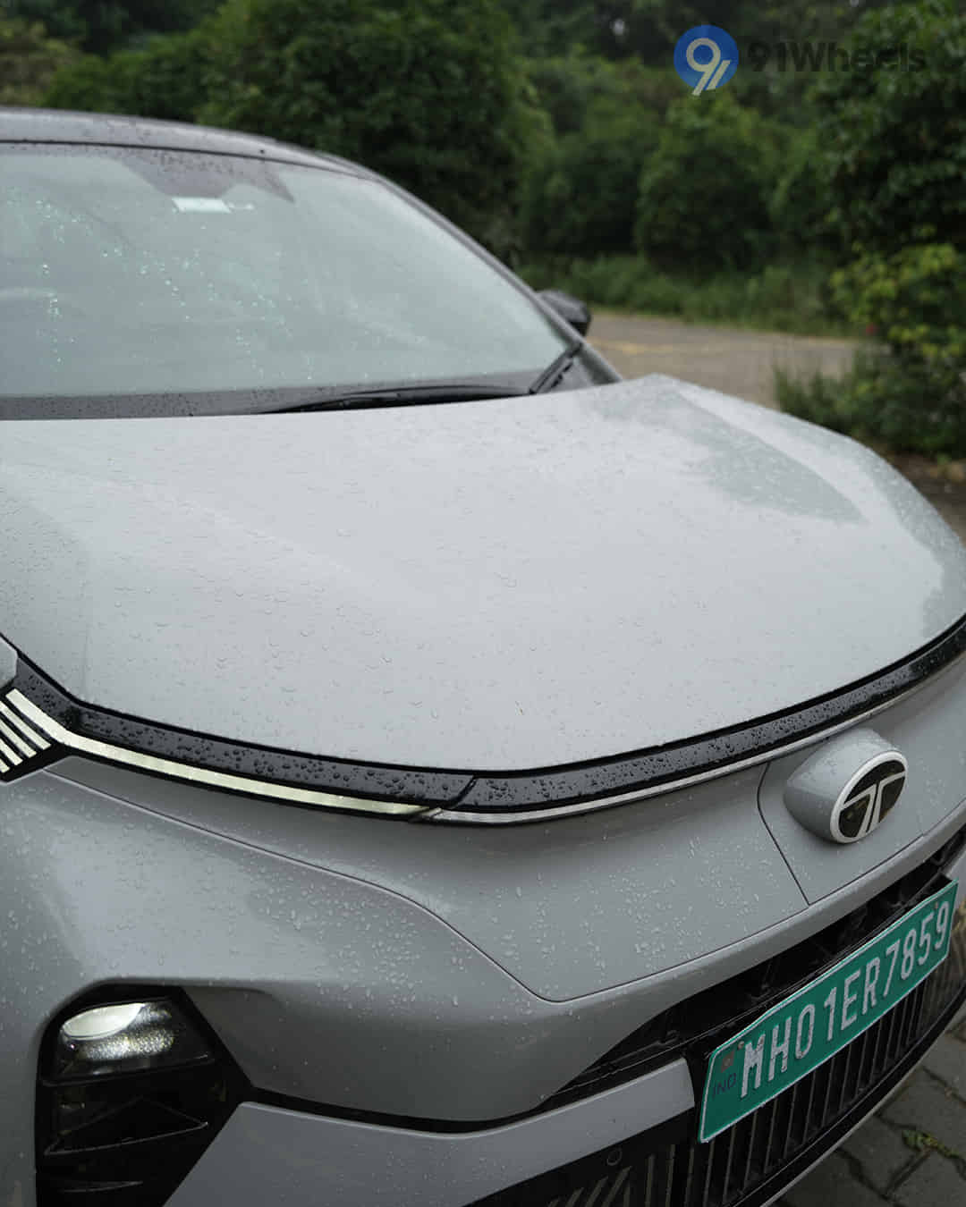 Closed Hood / Bonnet