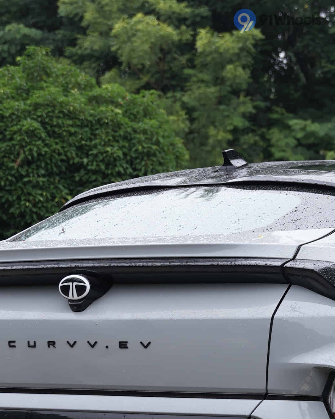 Rear Windshield / Windscreen