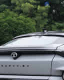 Rear Windshield / Windscreen