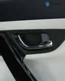 Rear Door Pad Handle