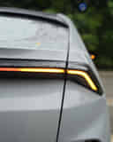 Rear Signal / Blinker Light