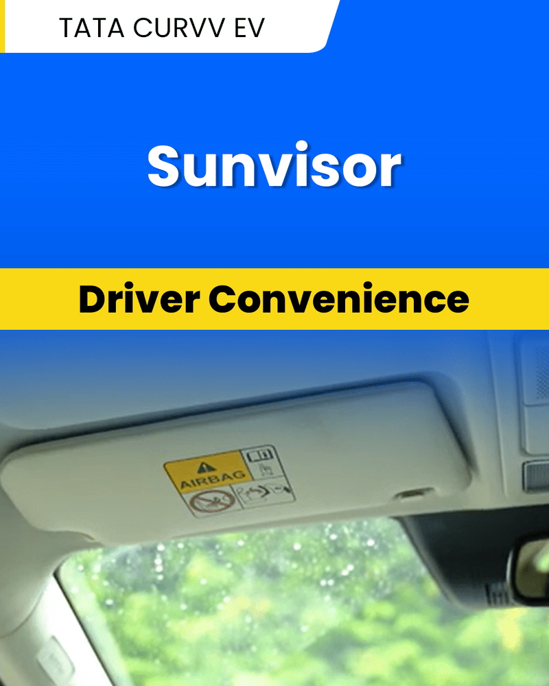 Tata Curvv EV Video