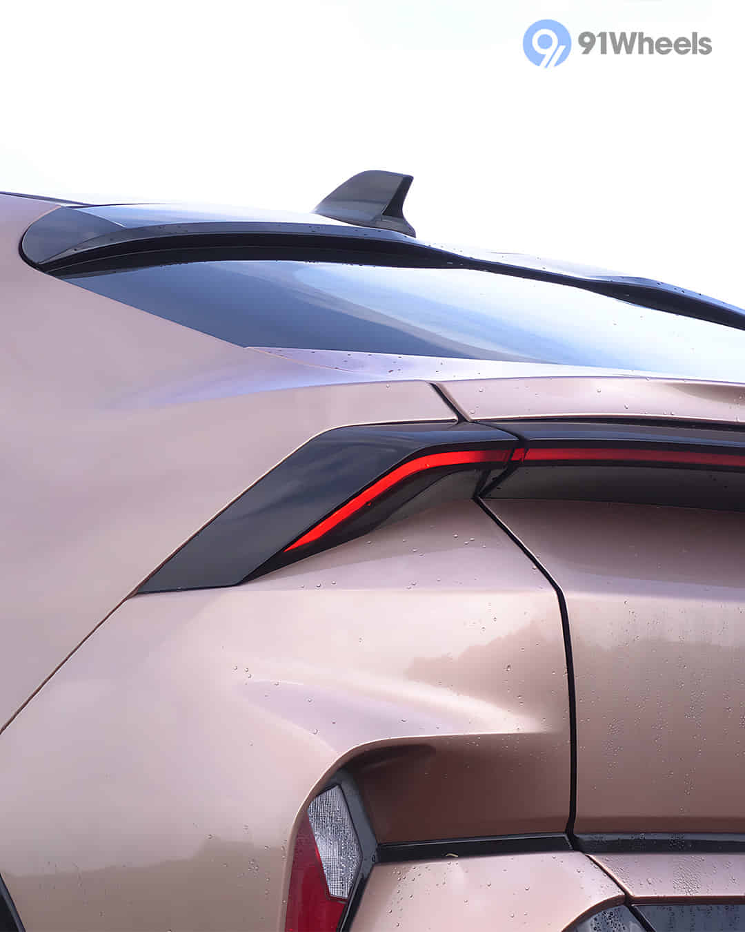 Tail Light / Tail Lamp