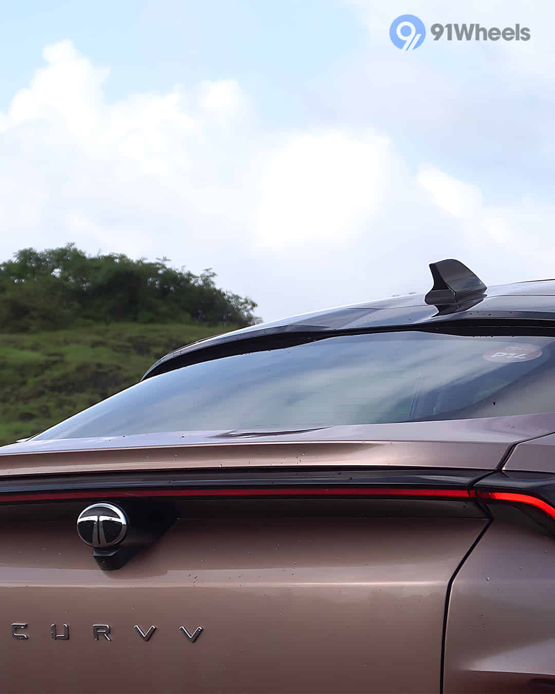 Rear Windshield / Windscreen