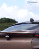 Rear Windshield / Windscreen