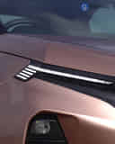 Daytime Running Lamps (DRL)