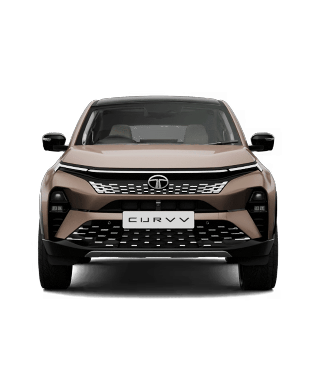 Tata Curvv image