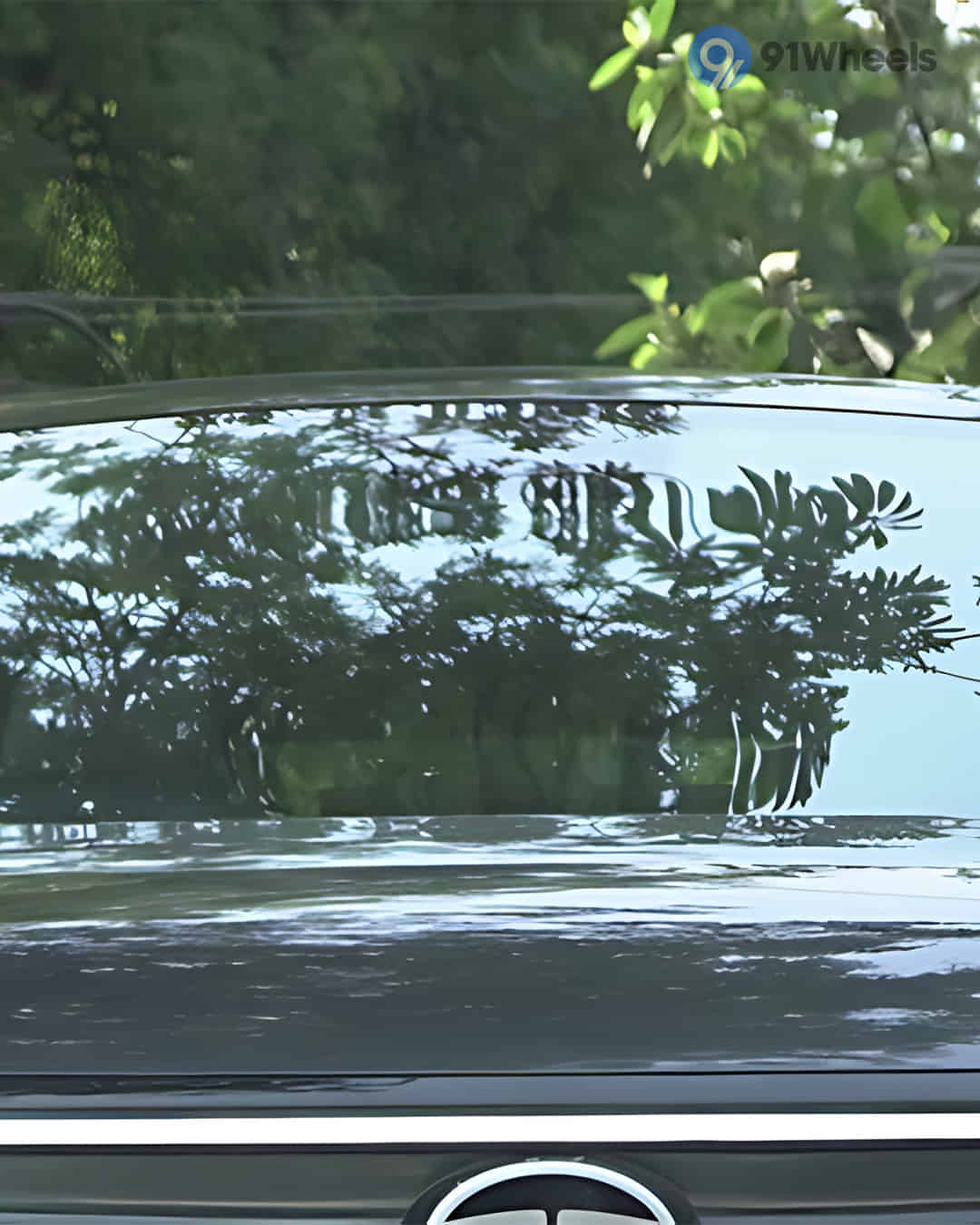 Front Windshield / Windscreen Front Windshield / Windscreen