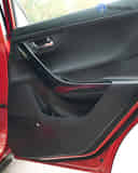 Rear Door Pad Handle