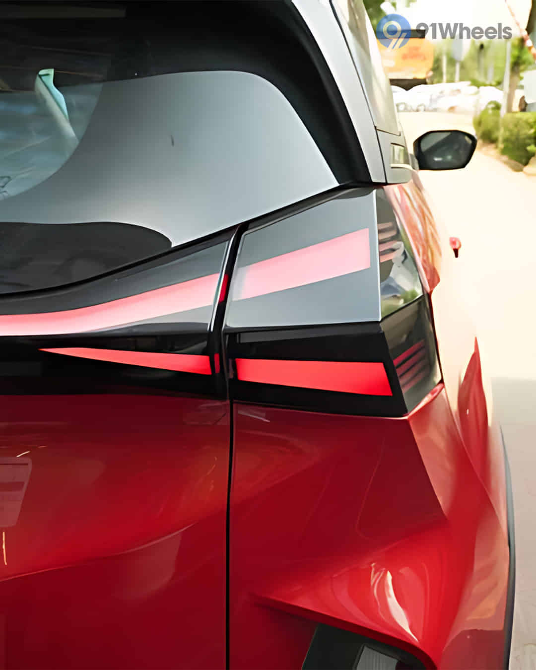 Tail Light / Tail Lamp