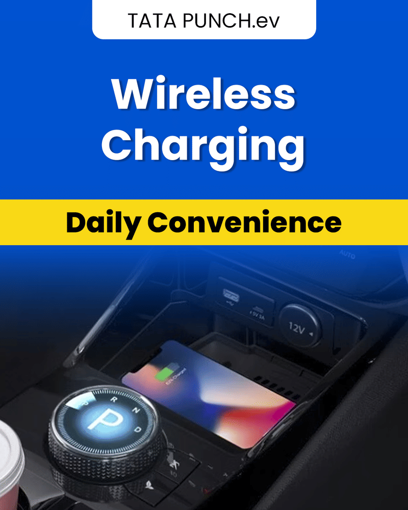Tata Punch EV Video