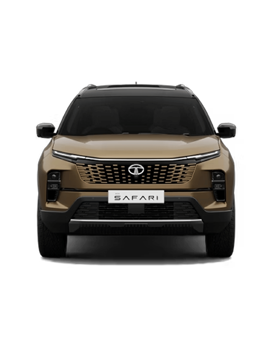 Tata Safari image
