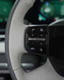Left Steering Mounted Controls