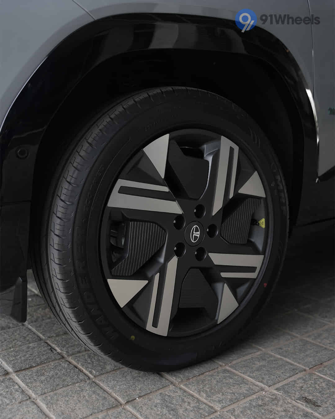 Front Fender Front Fender