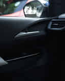 Front Passenger Side Door Pad