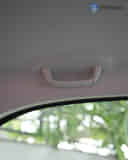 Rear Passenger Grab Handle