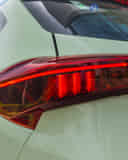 Tail Light / Tail Lamp