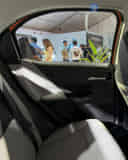 Tiago image