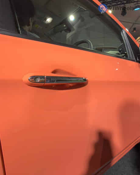 Tiago Rear Door Handle