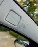 Left Side Curtain Airbag