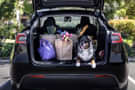 Model Y images