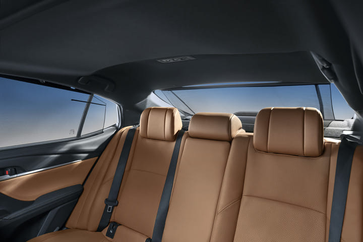 Toyota Camry Rear Headrests