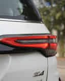 Tail Light / Tail Lamp