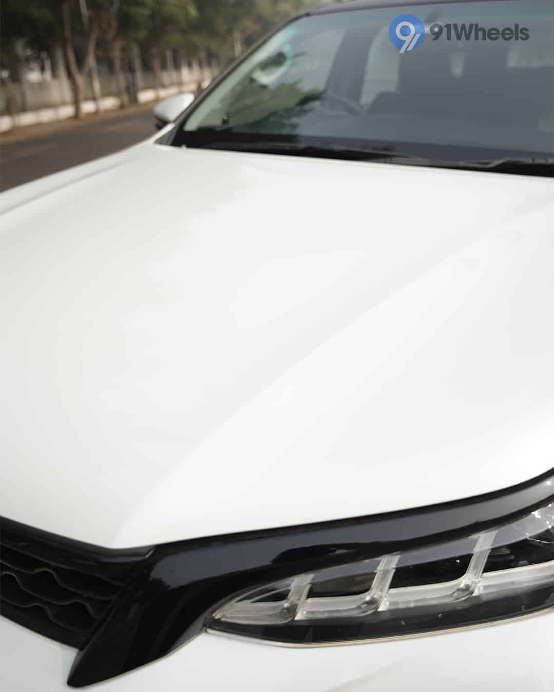 Closed Hood / Bonnet