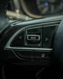 Left Steering Mounted Controls