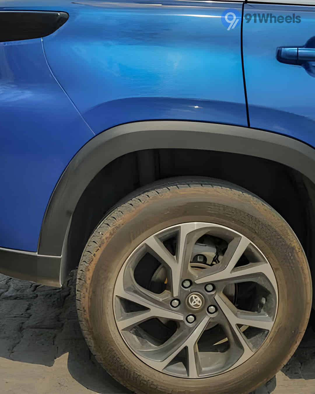 Rear Fender Rear Fender