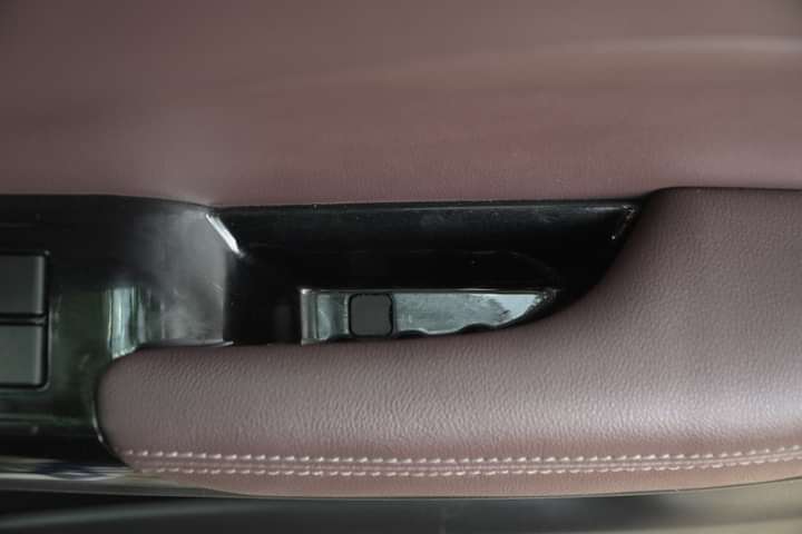 Toyota Taisor Driver Side Door Pad Handle