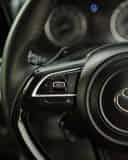 Left Steering Mounted Controls