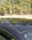 Car Roof