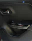 Rear Door Pad Handle