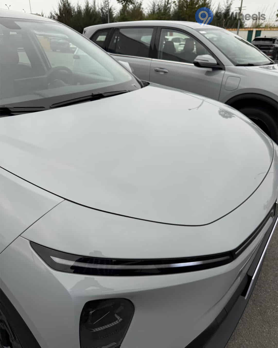 Closed Hood / Bonnet