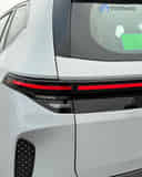 Rear Signal / Blinker Light