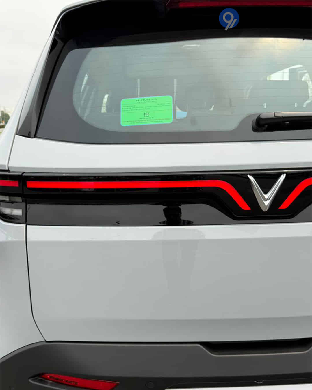 Tail Light / Tail Lamp