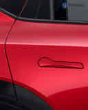 Rear Door Handle