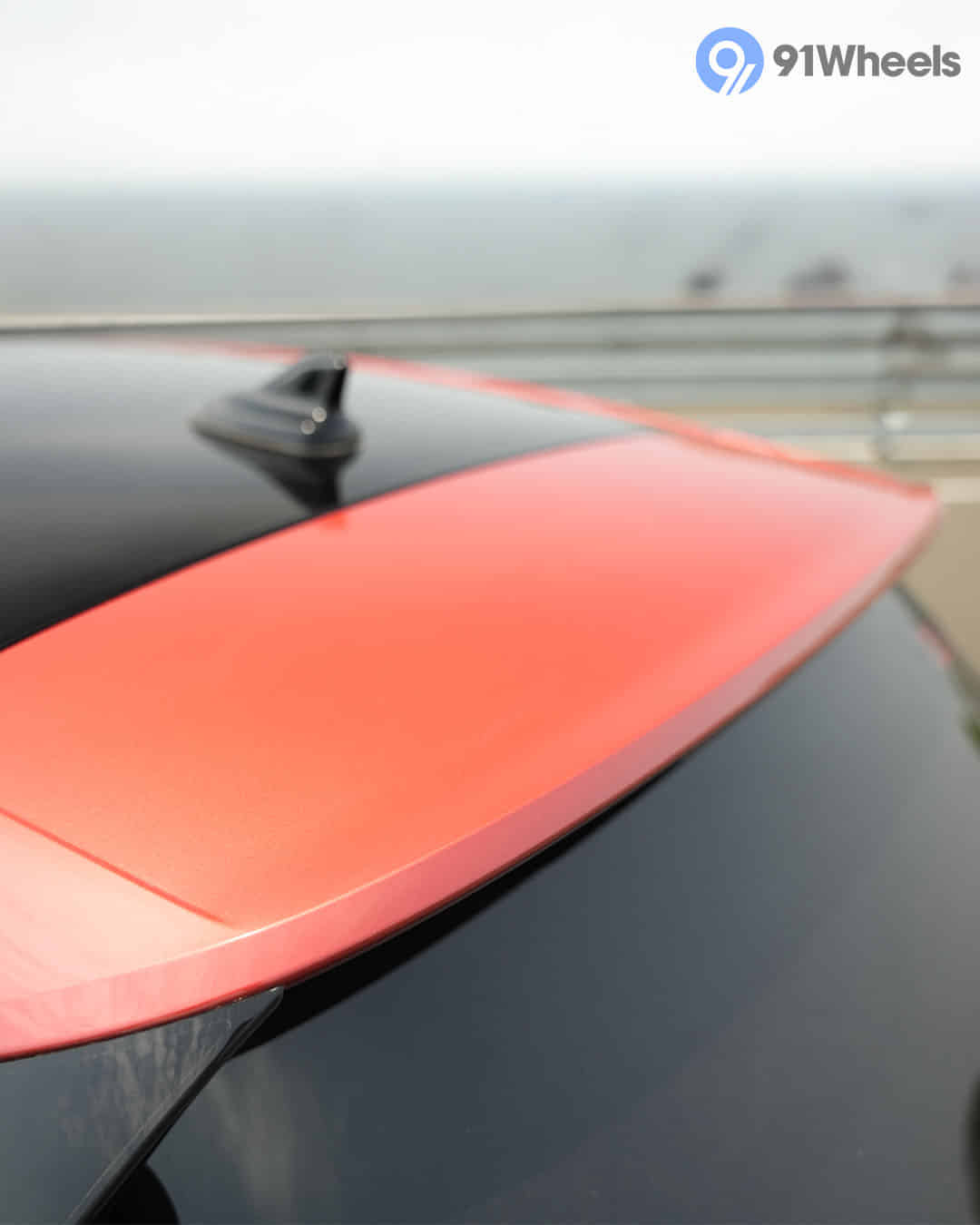 Rear Spoiler