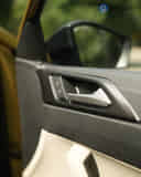 Driver Side Door Pad Handle