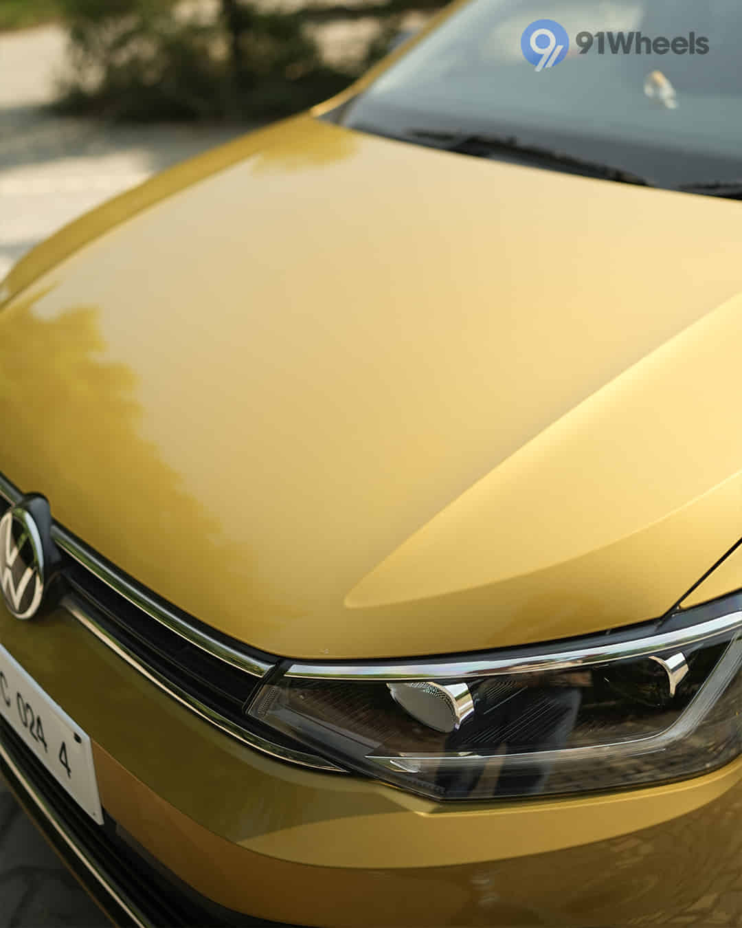 Closed Hood / Bonnet