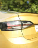 Tail Light / Tail Lamp