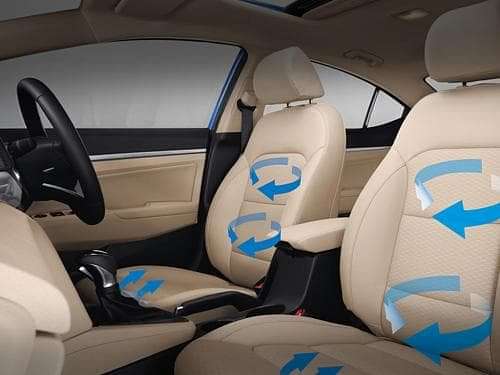 Hyundai Elantra Front Headrests