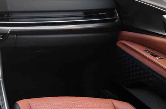 Carnival 12-Speaker Bose Premium Sound System