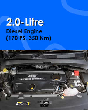 Meridian 2.0-Litre Diesel Engine