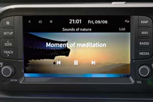 Exter 20.32 cm (8”) HD Infotainment System