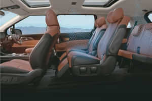 Carnival 3-zone climate control 