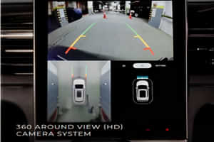 Hector 360 Around Camera View (HD)