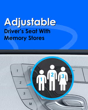 GLC Adjustable GLC Adjustable