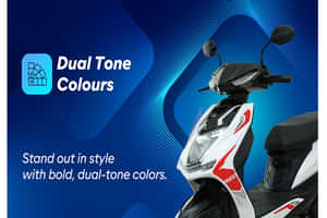 Reo Bold Design With Dual-tone Colours Reo Bold Design With Dual-tone Colours